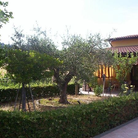 Agriturismo 7 Colonne Villa Bertinoro Exteriör bild