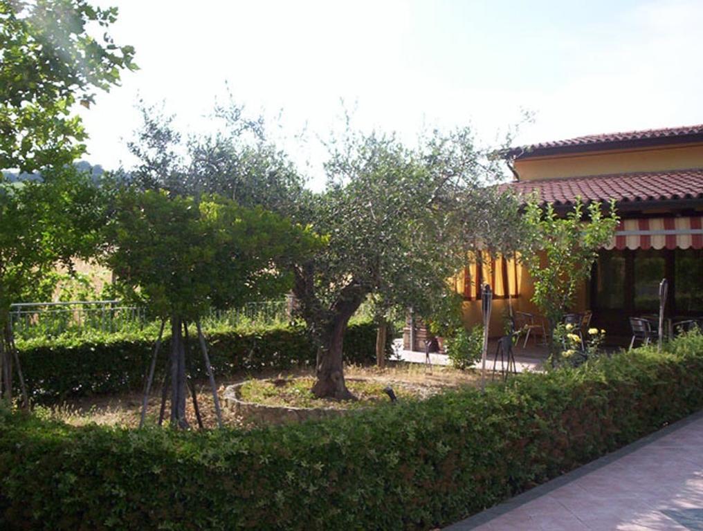 Agriturismo 7 Colonne Villa Bertinoro Exteriör bild